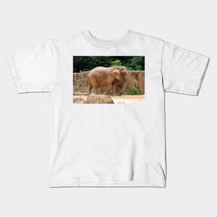 African Elephant Kids T-Shirt